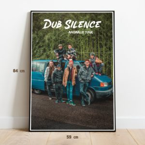 Poster Anomalie Tour